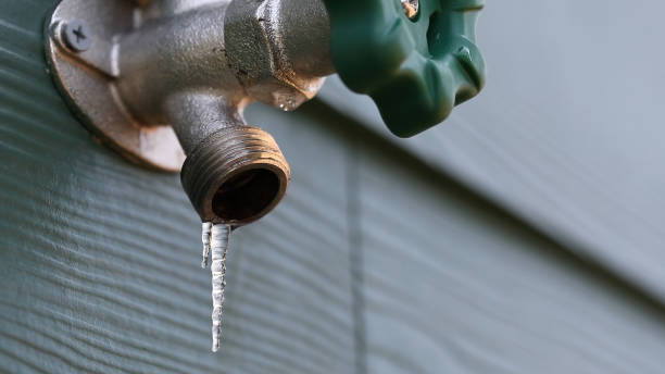 Best Same-Day Plumbing Service  in East Highland Park, VA