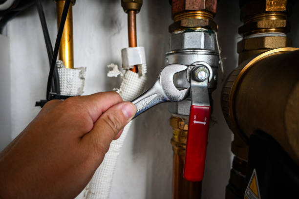Best Plumbing Inspection Services  in East Highland Park, VA